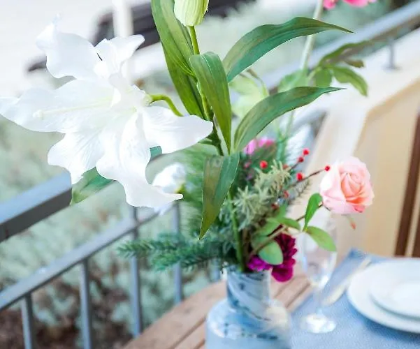 Wellness Διαμέρισμα *